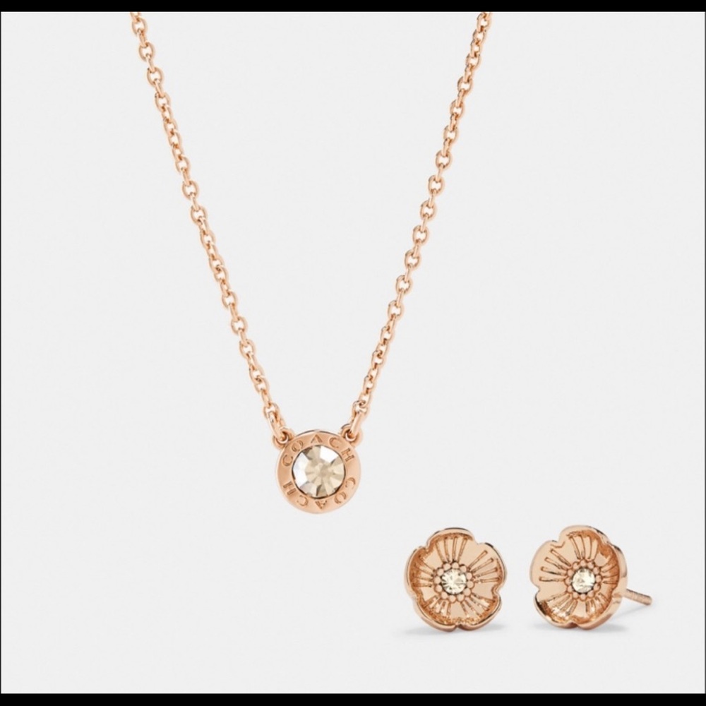 Coach set: earring and necklace